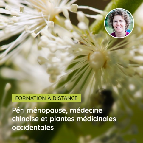 Formation en Péri ménopause, médecine chinoise et plantes médicinales occidentales