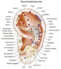 Réflexologie auriculaire ou auriculothérapie à montreal